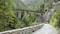 Un vieux pont de pierre enjambe un ravin verdoyant, entouré de forêts denses de conifères. Un sentier étroit y mène.