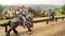Deux chevaliers en armure à cheval lors d'un tournoi. Des spectateurs sont assis dans les tribunes en arrière-plan. Des bâtiments et des arbres sont visibles au loin.