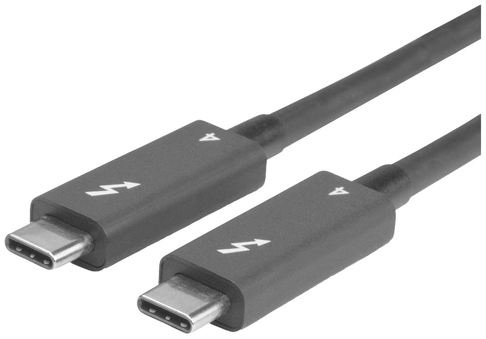 Deux câbles USB-C avec le symbole Thunderbolt.