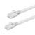 Un câble Ethernet blanc avec deux connecteurs RJ45.