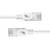 Deux câbles Ethernet blancs avec des connecteurs transparents.