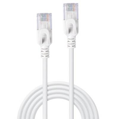 Un câble Ethernet blanc avec deux connecteurs RJ-45.