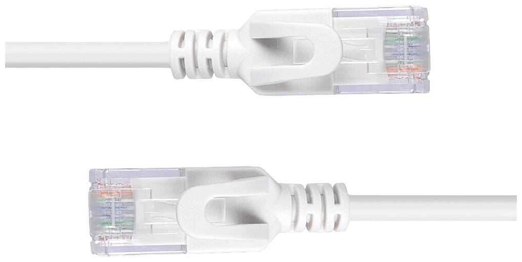 Deux câbles Ethernet blancs avec des connecteurs transparents révélant des fils colorés. Ils sont alignés parallèlement l'un à l'autre.