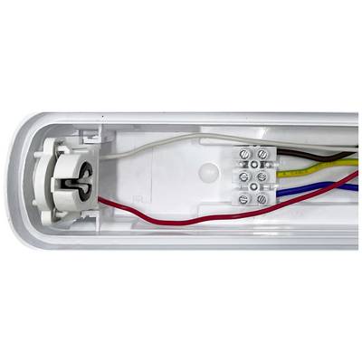 Support de tube fluorescent avec des connexions électriques visibles, à gauche le support de lampe, à droite des bornes avec des câbles rouges, bleus, bruns et jaune-verts.
