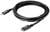 Un câble USB-C noir avec des connecteurs des deux côtés, enroulé et prêt à être utilisé pour le transfert de données ou la charge.