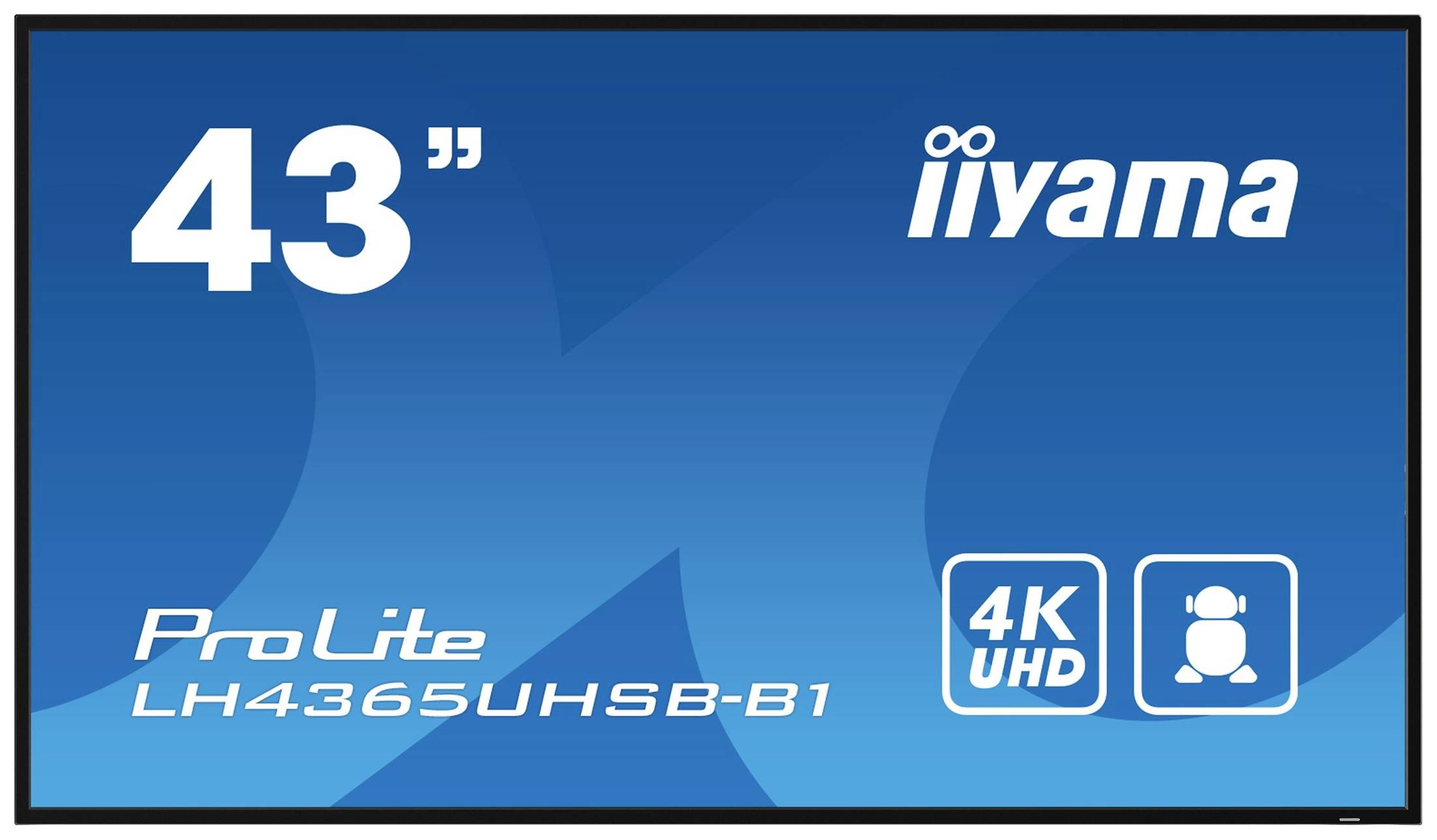 Écran de moniteur iiyama de 42 pouces, modèle ProLite LH4365UHSB-B1, avec résolution 4K UHD, fond bleu.