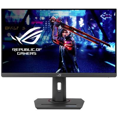 Image d'un moniteur Asus avec un personnage de jeu vidéo futuriste à l'épée à l'écran, le logo ROG est visible.