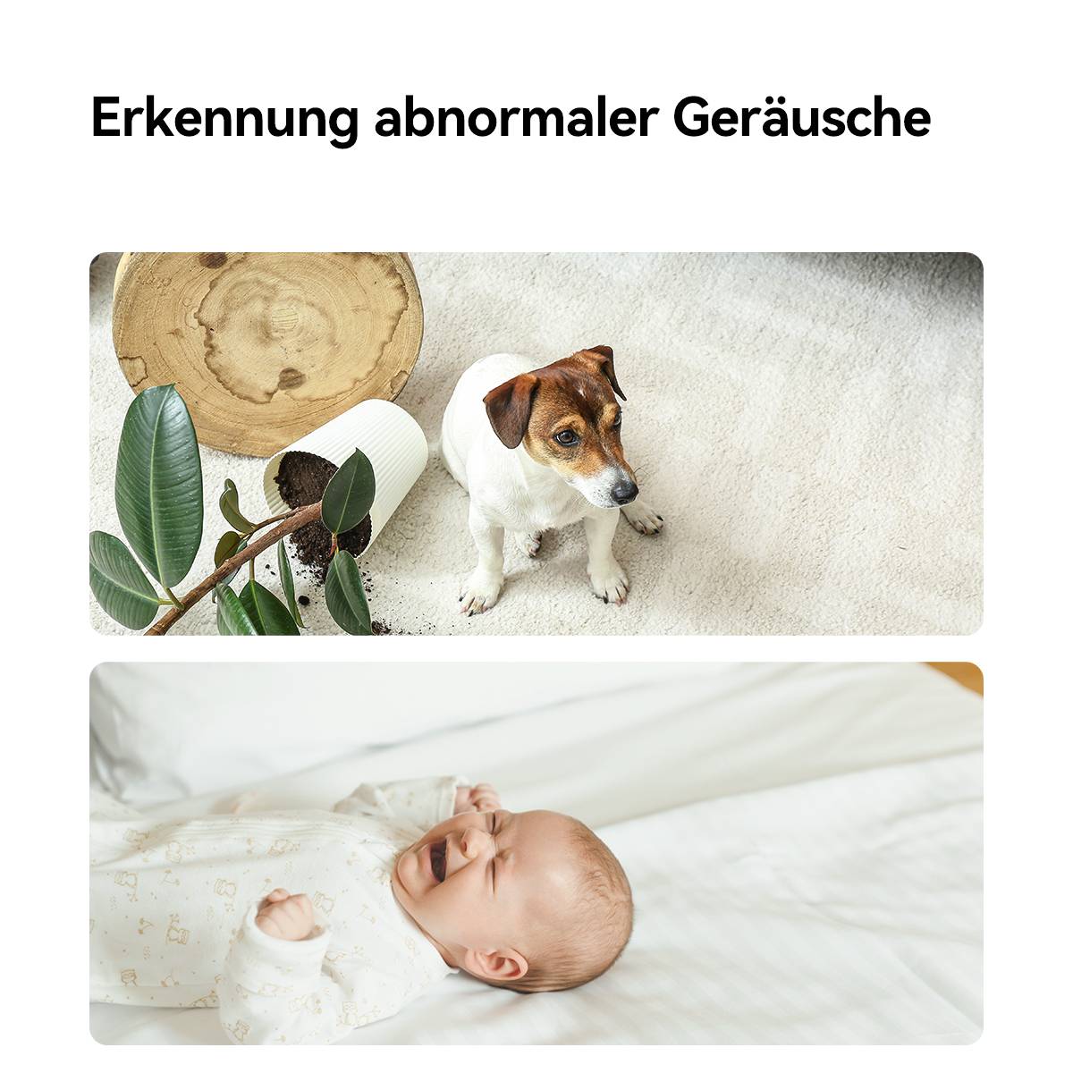 Chien à côté d'un pot de fleurs renversé sur un tapis ; bébé endormi sur un lit. Texte : 'Détection de sons anormaux'.