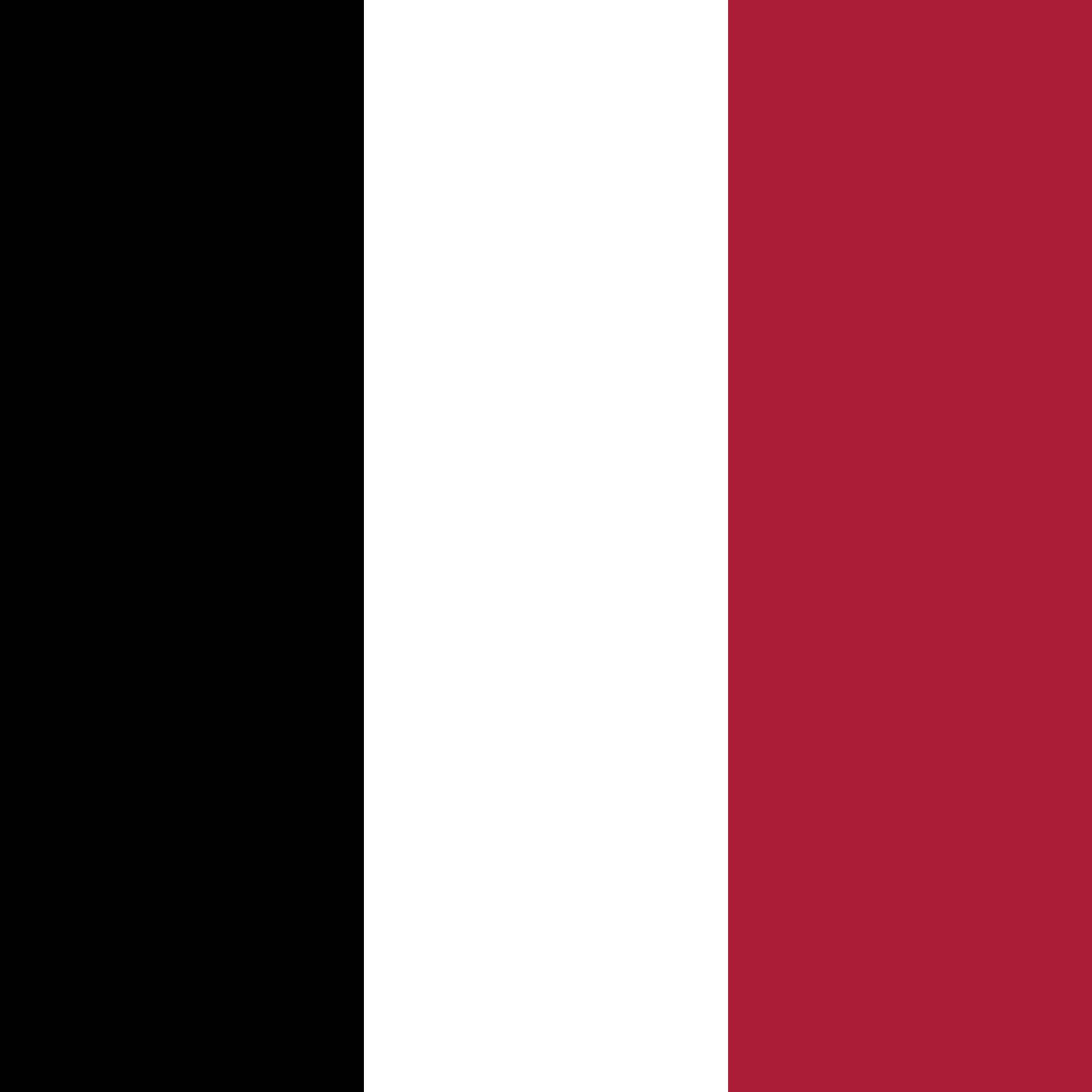 Trois bandes verticales de noir, blanc et rouge de gauche à droite.