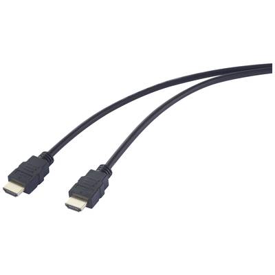 Deux câbles HDMI noirs côte à côte, montrant leurs connecteurs.