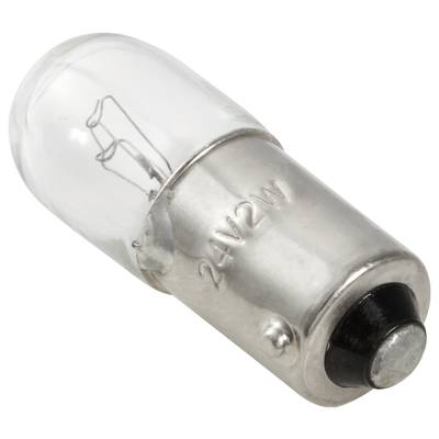 Ampoule à incandescence avec douille métallique, marquée '24V2W'. L'enveloppe en verre révèle un design de filament délicat.