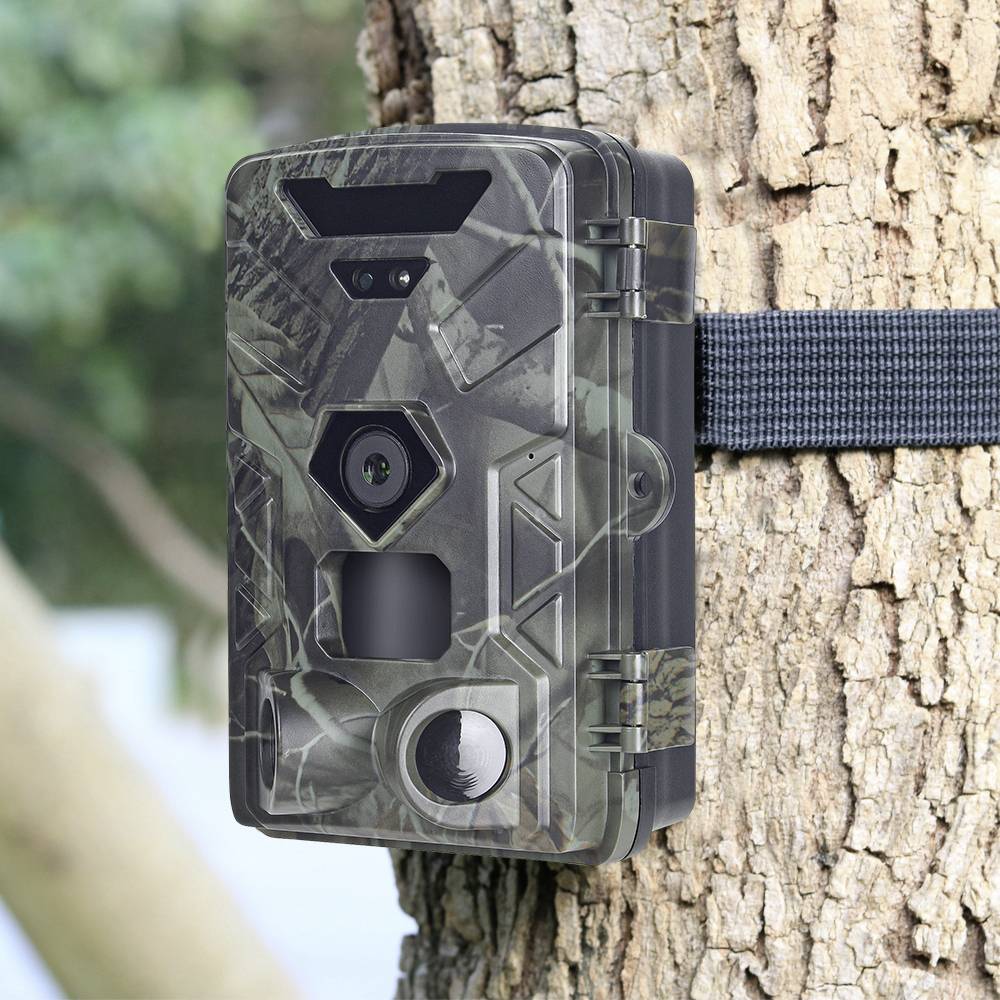 Une caméra de chasse camouflée est fixée à un arbre. Elle est conçue pour surveiller les animaux dans leur habitat naturel.