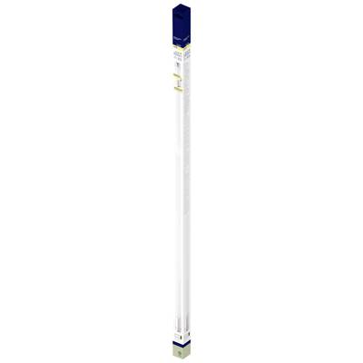 Lampes longues, blanches, dans un emballage avec des impressions bleues et jaunes, adaptées aux appareils électroniques.