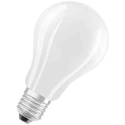 Ampoule standard avec douille métallique sur fond blanc.
