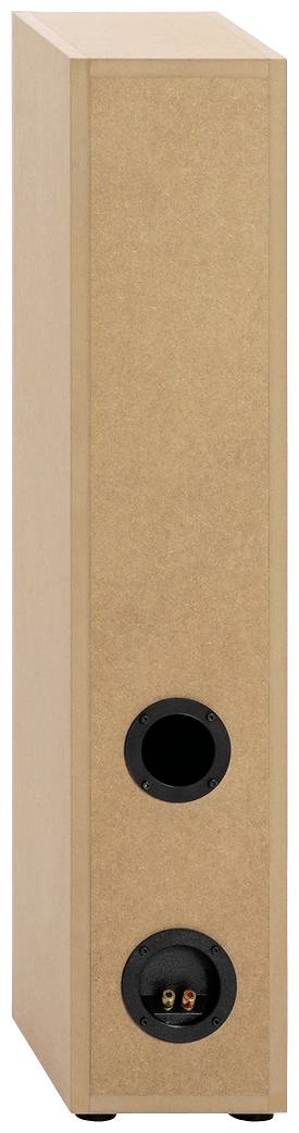 Un haut-parleur en bois rectangulaire simple, sans membranes de haut-parleur visibles, doté de connexions et d'un évent de bass-reflex.