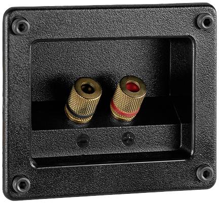 Connecteur d'enceinte noir avec deux bornes dorées, une marquée en rouge, l'autre en noir. Composant audio de haute qualité.