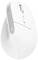 Souris d'ordinateur sans fil ergonomique blanche avec molette de défilement et deux boutons. Le voyant LED indique l'état de la connexion.