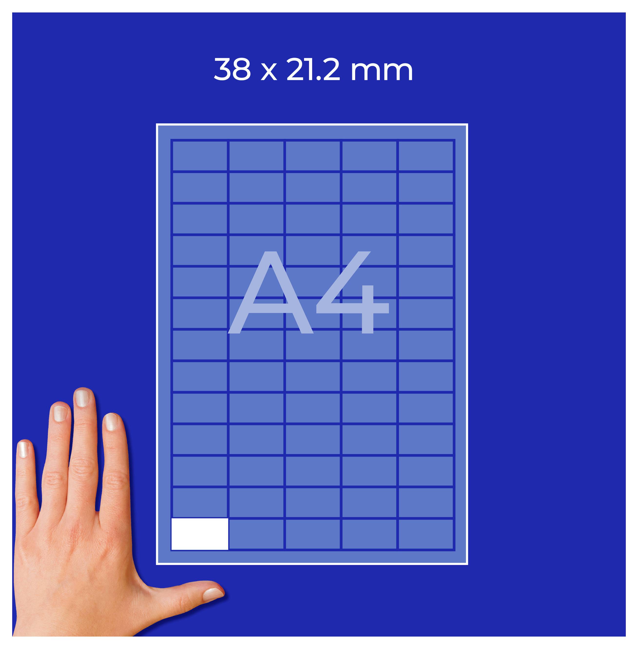 Modèle de format A4 en orientation portrait avec indication de dimension '38 x 21,2 mm'; la main montre la petite taille en comparaison avec la page.