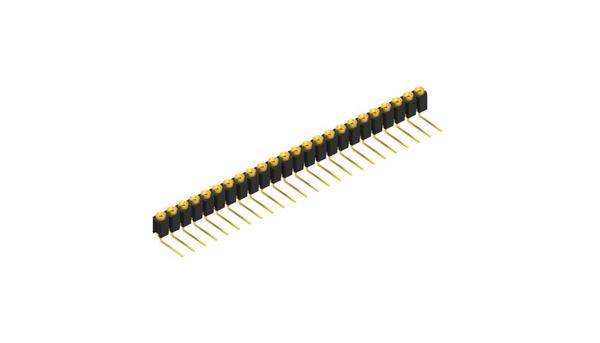 Fischer Elektronik Barrette femelle (de précision) Nbr de rangées: 1 10040250 10 pc(s)-0