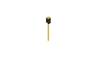 Fischer Elektronik Barrette femelle (de précision) Nbr de rangées: 1 10040303 10 pc(s)