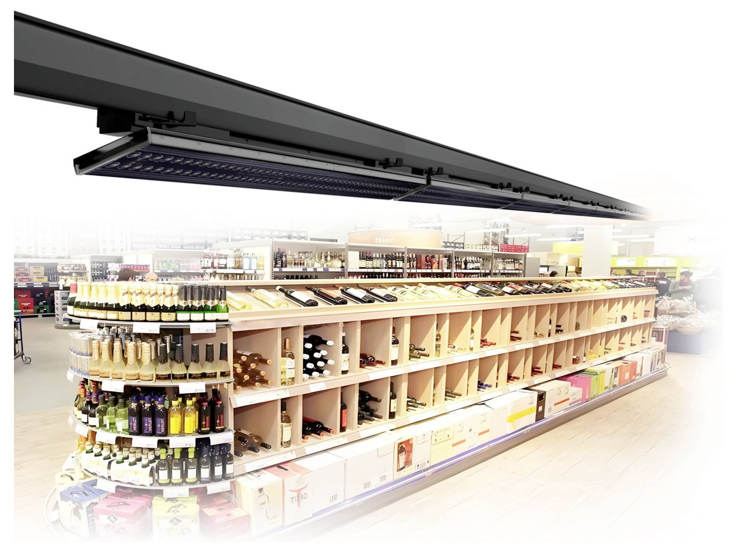 Rayon de vins en supermarché avec des bouteilles disposées sur les étagères et un luminaire réfrigéré au-dessus.