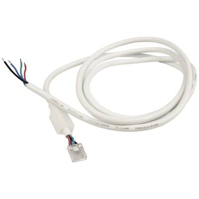 Un câble blanc avec une fiche RJ45 et des fils de couleur à l'autre extrémité. Adapté pour les configurations réseau.