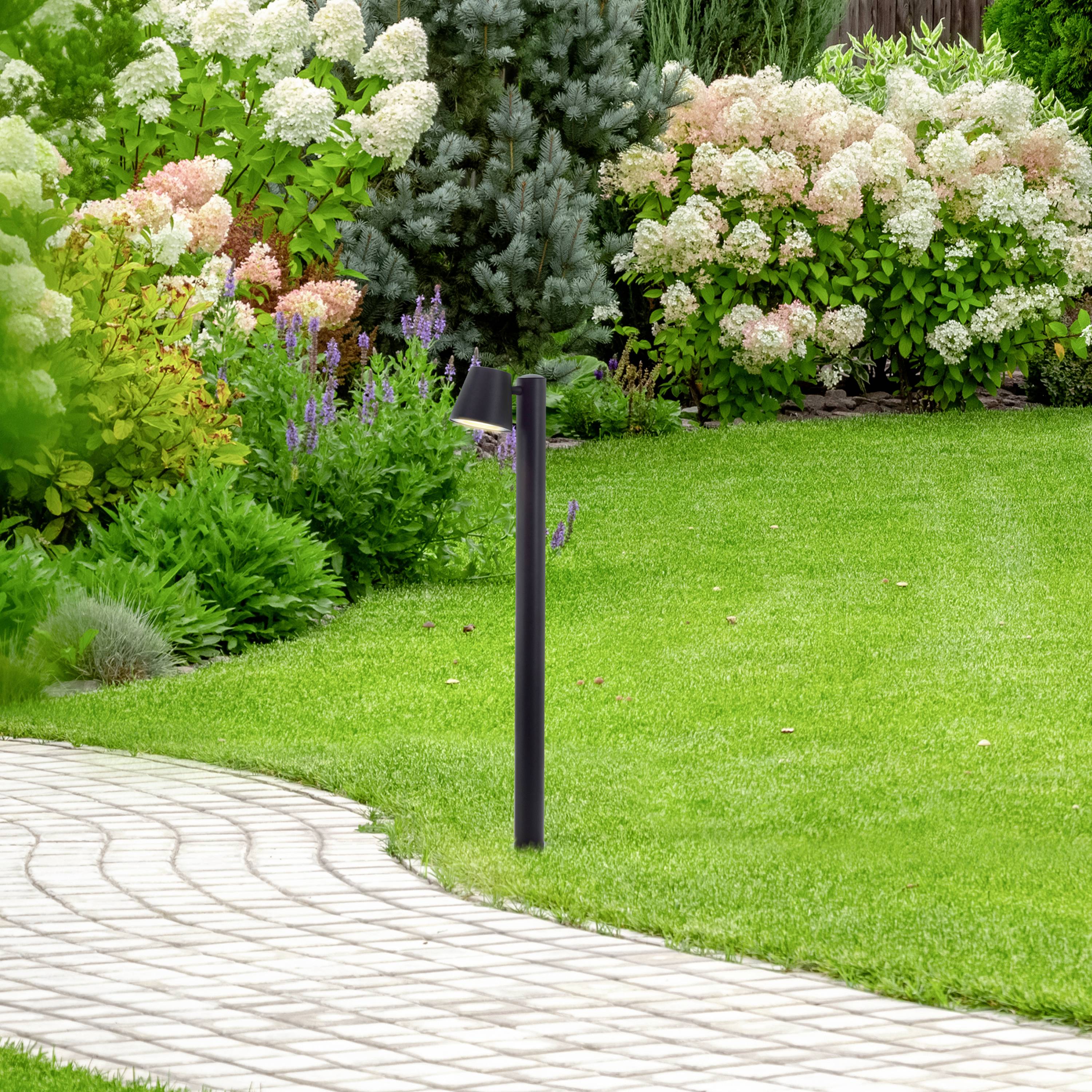 Un jardin soigné avec un chemin pavé sinueux, des hortensias en fleurs en arrière-plan et un conifère isolé au premier plan.