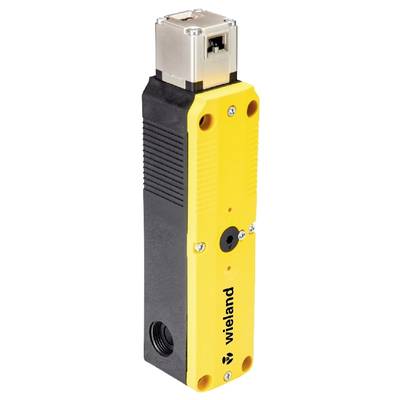 Un appareil électrique rectangulaire jaune et noir avec un connecteur métallique en haut. Marque 'wieland' sur la face avant.