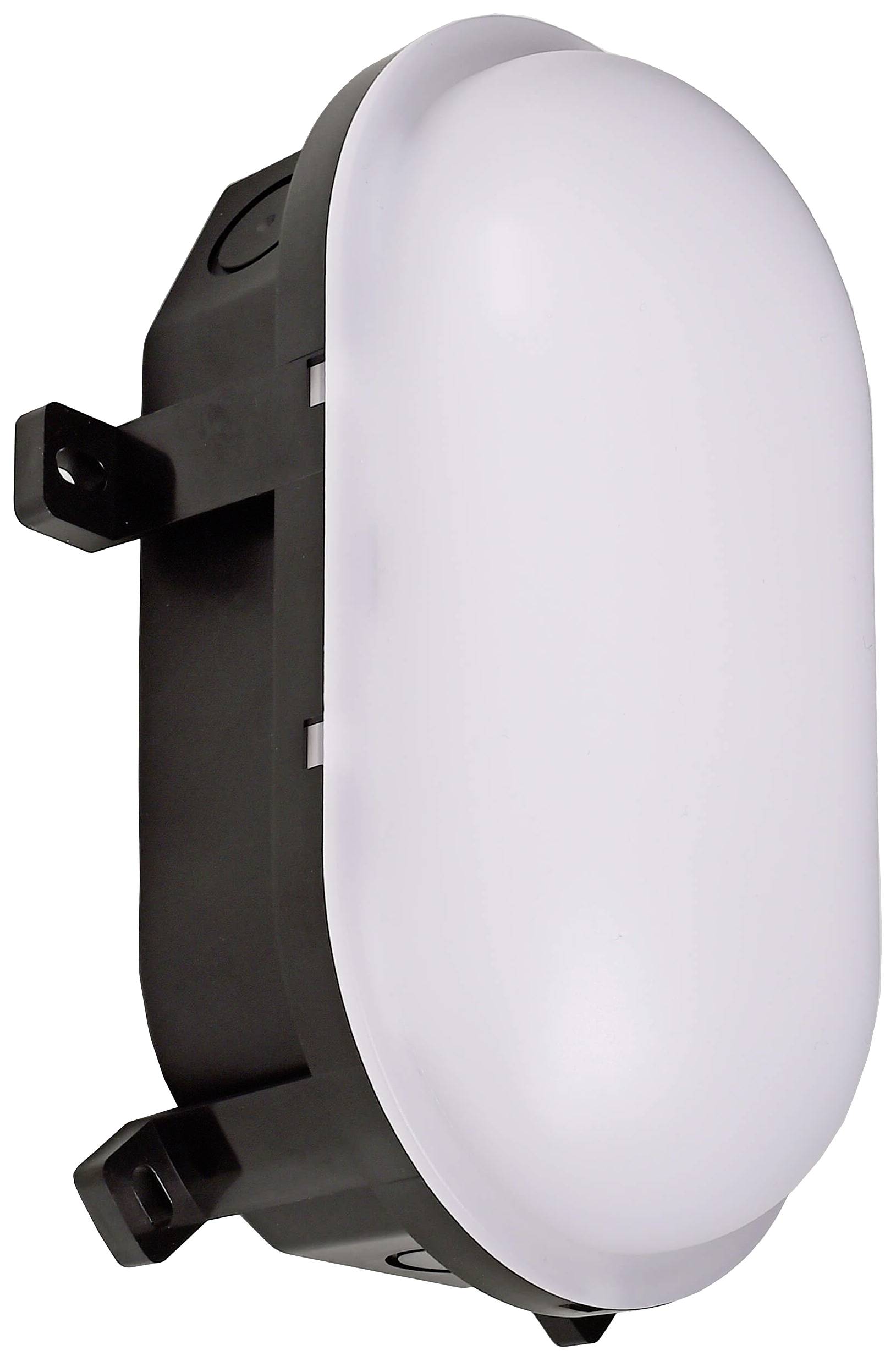 Un luminaire LED ovale avec un boîtier noir et un diffuseur blanc, adapté pour une installation murale ou en plafonnier.