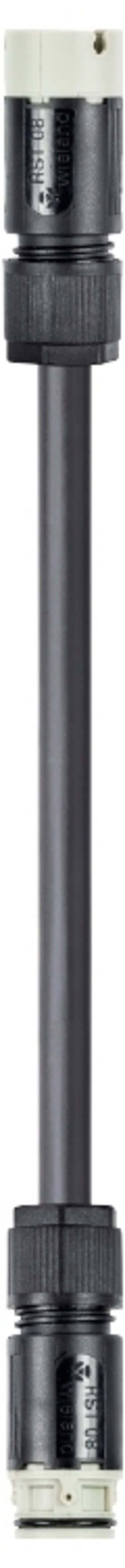Wieland Electric 41.427.2532.8  Cordon  noir 2.5 m