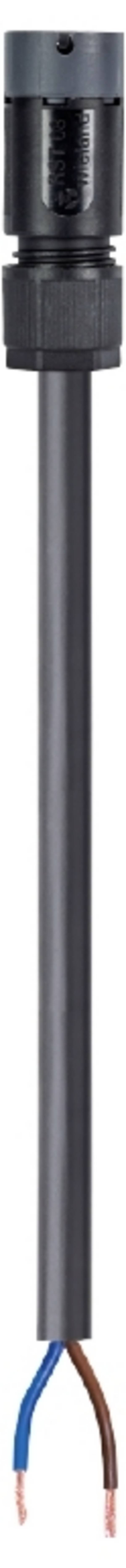 Wieland Electric 41.427.1038.4  Câble de raccordement  noir 1 m