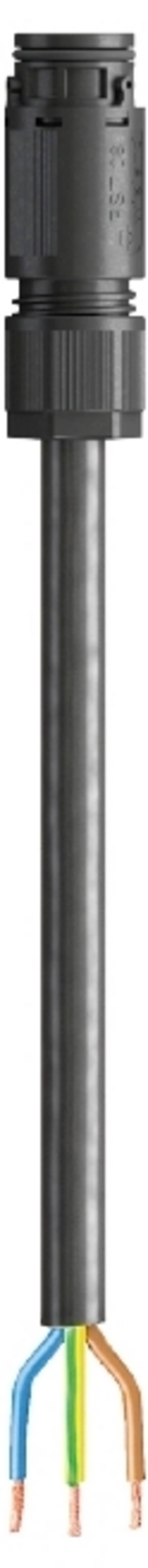 Wieland Electric 41.437.3033.1  Câble de raccordement  noir 3 m