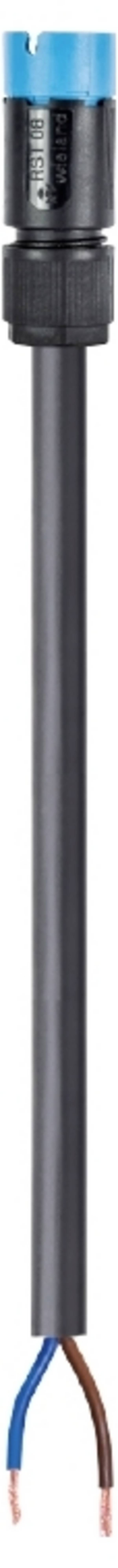 Wieland Electric 41.427.2534.9  Câble de raccordement  noir 2.5 m