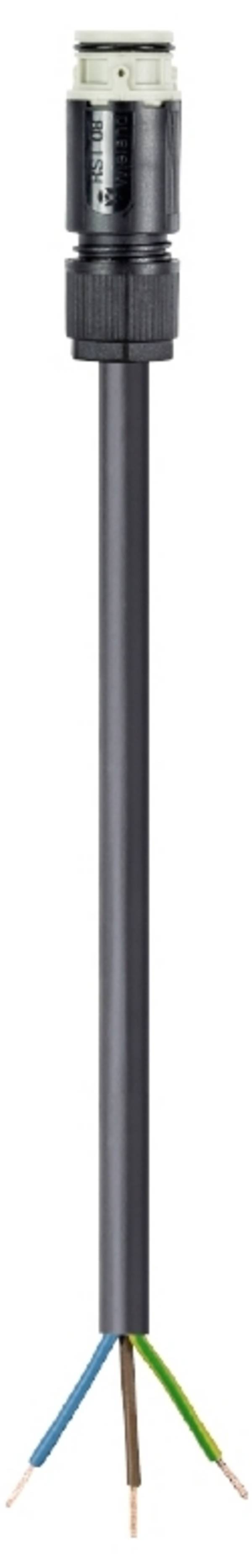 Wieland Electric 41.437.0537.8  Câble de raccordement  noir 0.5 m