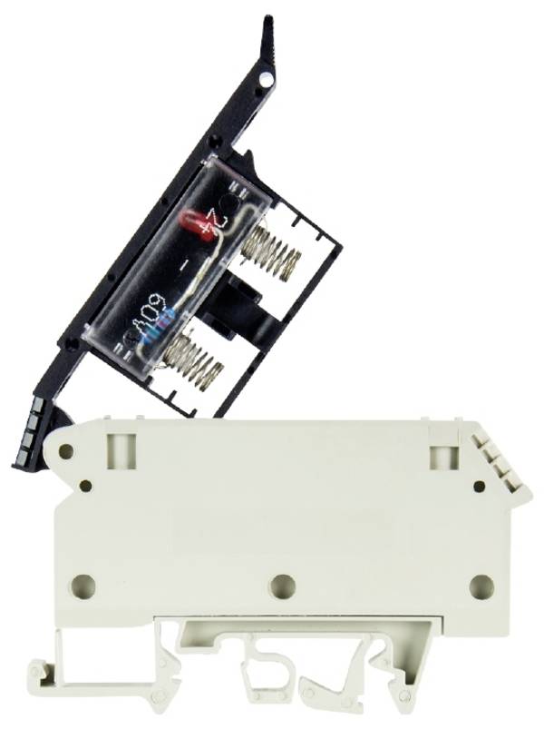 Wieland Electric 57.904.5655.0 Bloc de jonction à fusibles  raccord à vis  gris 50 pc(s)