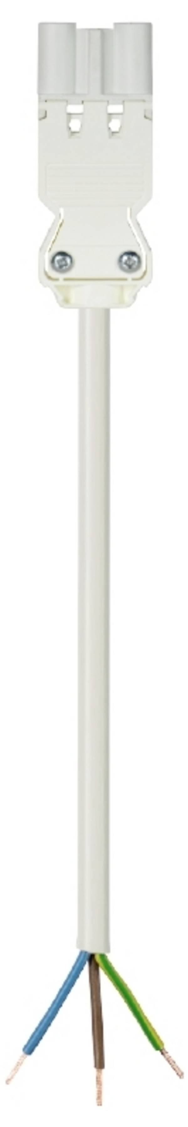 Wieland Electric 92.232.2004.2 Câble de raccordement blanc 2 m