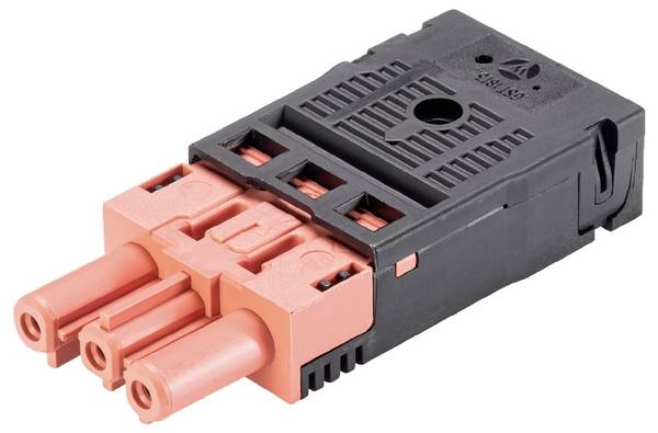 Wieland Electric 92.933.0553.0 Connecteur