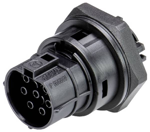 Wieland Electric 96.071.6353.1  Branchement d'appareil