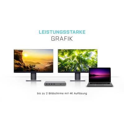 Deux moniteurs et un ordinateur portable affichent des graphiques colorés ; Texte en haut : 'Graphique performante', en bas : 'jusqu'à 2 écrans en résolution 4K'.