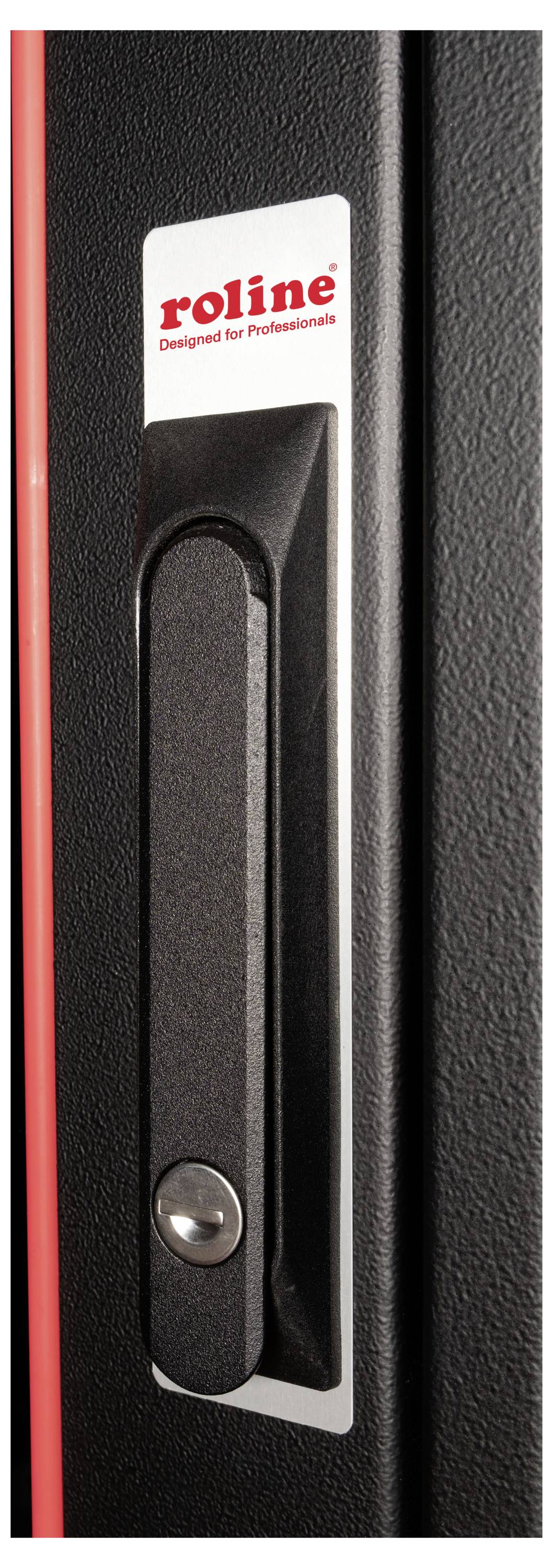 Une poignée de porte noire avec serrure sur un boîtier, à côté du logo 'roline' accompagné du slogan 'Designed for Professionals'.