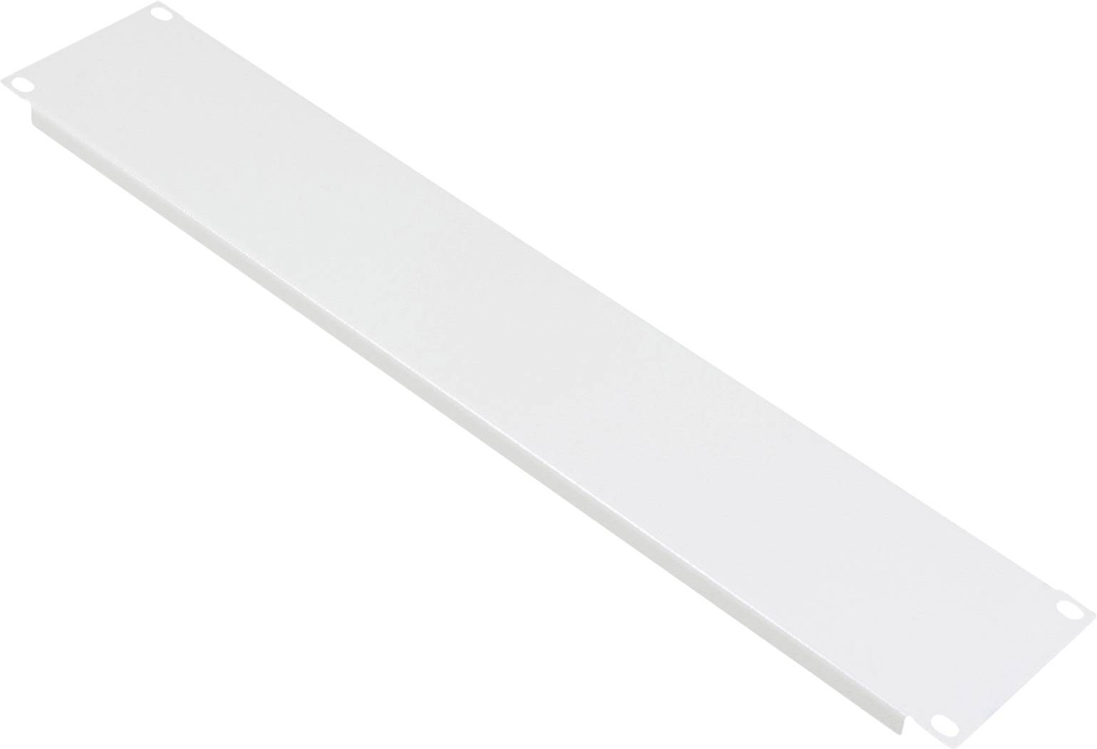 ROLINE 19" Cache 2U gris