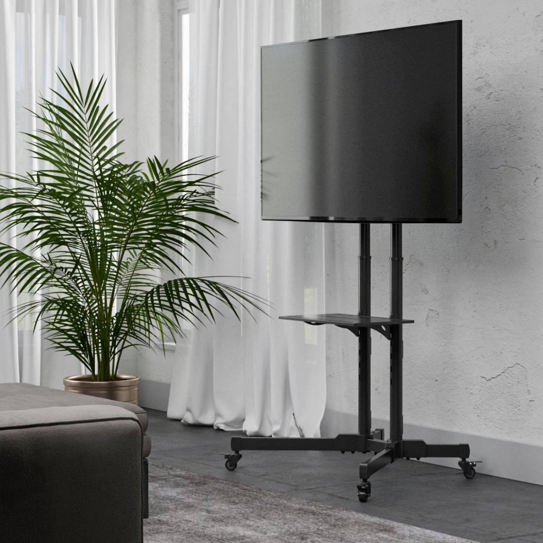 Un salon avec un canapé gris, une plante en pot et une télévision noire sur un support devant des rideaux blancs.