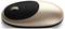 Souris d'ordinateur sans fil ergonomique en or et noir avec molette de défilement, adaptée à une utilisation sur ordinateur de bureau ou portable.