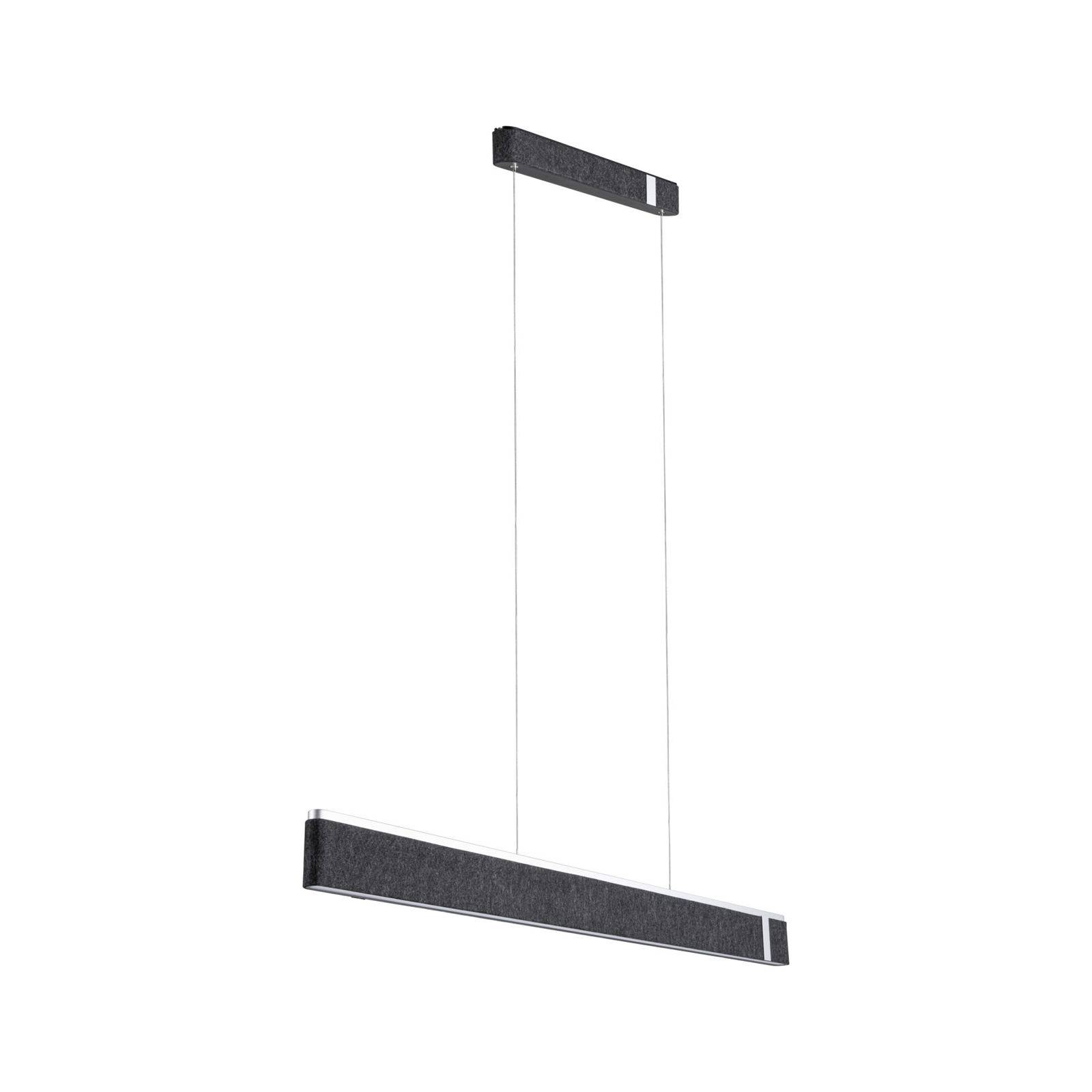 Suspension noire rectangulaire à design épuré, suspendue par deux câbles fins depuis le plafond. Style minimaliste.