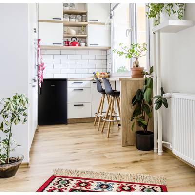 Une cuisine moderne et lumineuse avec un sol en bois et des armoires blanches. Des plantes sont placées sur le sol et sur le comptoir, qui comporte deux tabourets de bar.