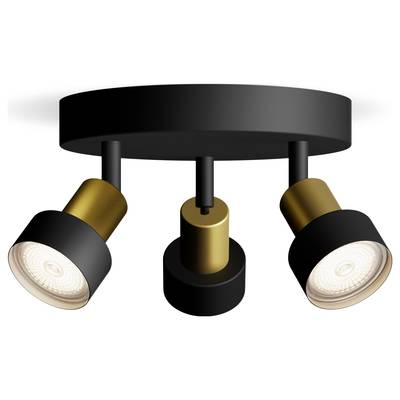 Plafonnier noir avec deux projecteurs orientables en métal doré, dirigés vers le bas.