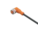ifm Electronic EVC164 Câble de raccordement M12 femelle, coudé 2 m Nombre de pôles: 5 1 pc(s)