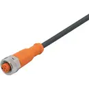 ifm Electronic EVC401 Câble de raccordement M12 femelle, droit 5 m Nombre de pôles: 5 1 pc(s)