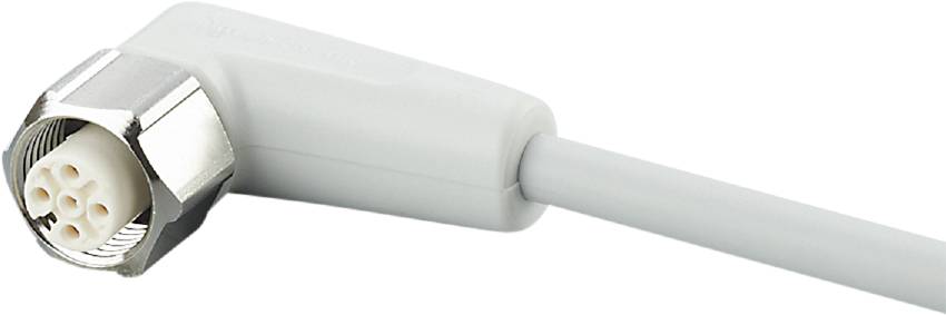 Un câble blanc avec une fiche mâle qui est branché dans une prise électrique. Il illustre la compatibilité de connexion électrique.