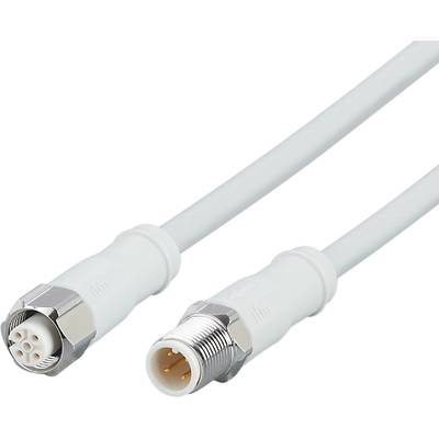 Deux câbles coaxiaux blancs avec des connecteurs différents ; l'un avec une fiche mâle, l'autre avec une prise femelle.